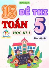 Tổng hợp 15 Đề thi học kì 1 môn Toán Lớp 5 Cánh Diều (Kèm đáp án)